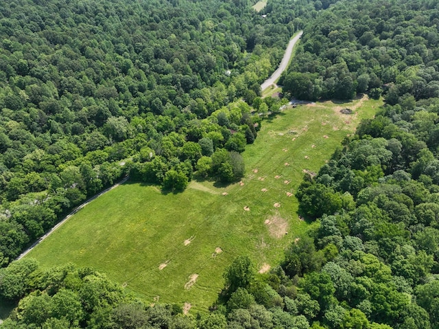 3822 Vernon Creek Rd, Cunningham, TN 37052 - photo 17