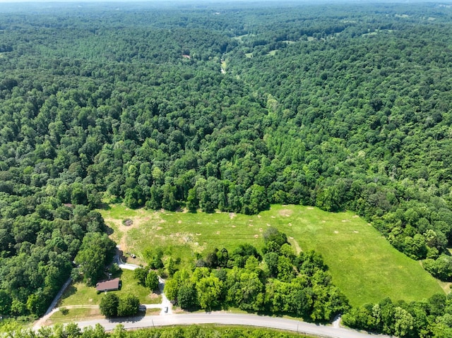 3822 Vernon Creek Rd, Cunningham, TN 37052 - photo 20