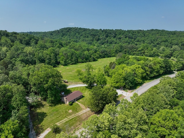 3822 Vernon Creek Rd, Cunningham, TN 37052 - photo 1