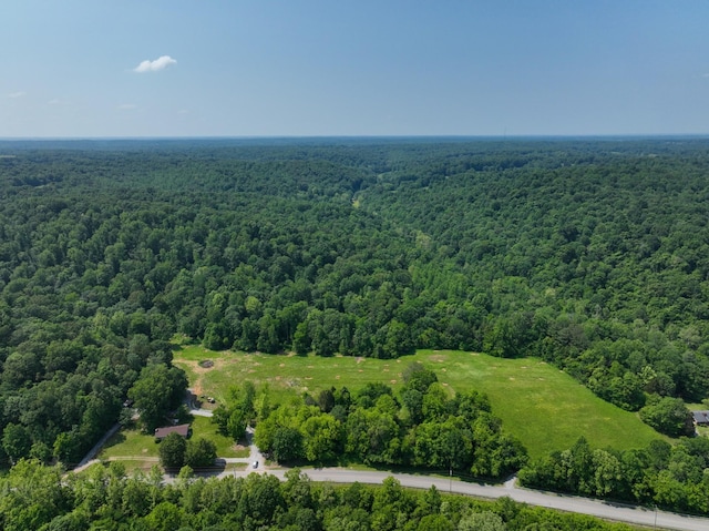 3822 Vernon Creek Rd, Cunningham, TN 37052 - photo 19