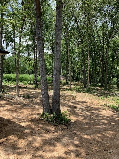 1235 George Patterson Rd, Murfreesboro, TN 37127 - photo 18