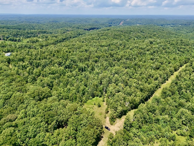 0 Bear Creek Rd, Waverly, TN 37185 - photo 1