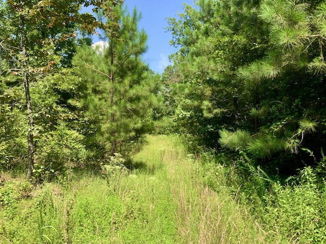 0 Bear Creek Rd, Waverly, TN 37185 - photo 13