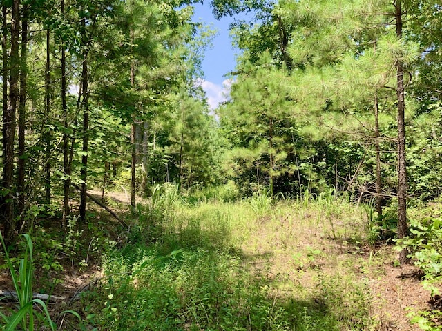 0 Bear Creek Rd, Waverly, TN 37185 - photo 18