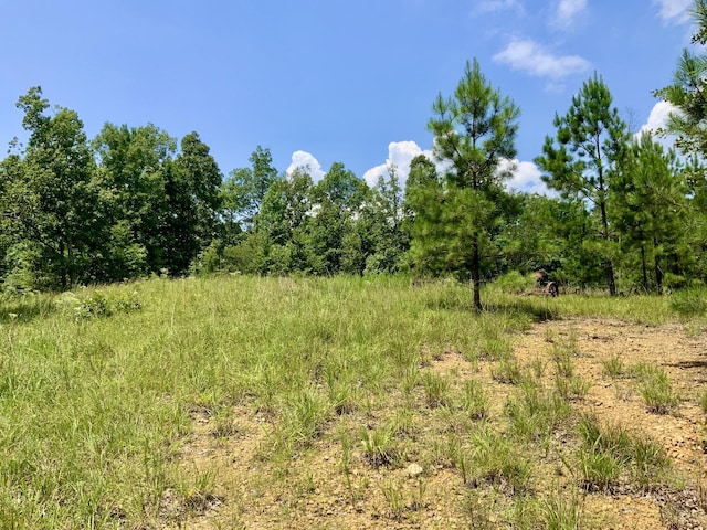 0 Bear Creek Rd, Waverly, TN 37185 - photo 4