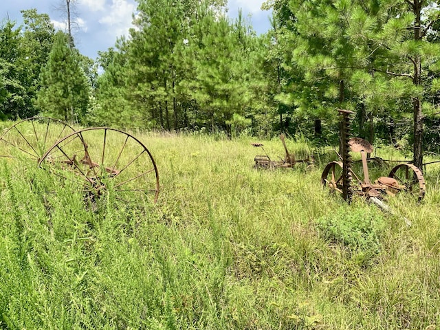 0 Bear Creek Rd, Waverly, TN 37185 - photo 14