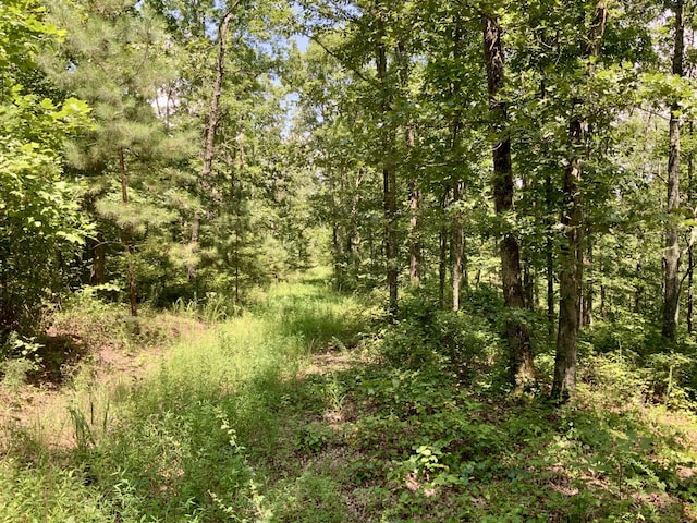 0 Bear Creek Rd, Waverly, TN 37185 - photo 16