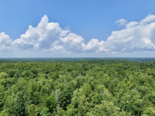 0 Bear Creek Rd, Waverly, TN 37185 - photo 7