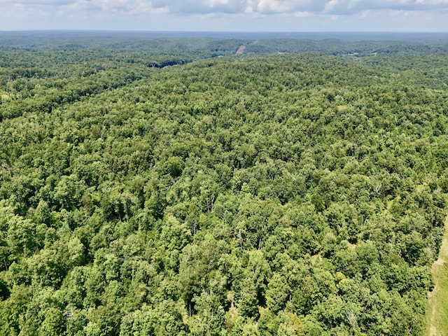 0 Bear Creek Rd, Waverly, TN 37185 - photo 5
