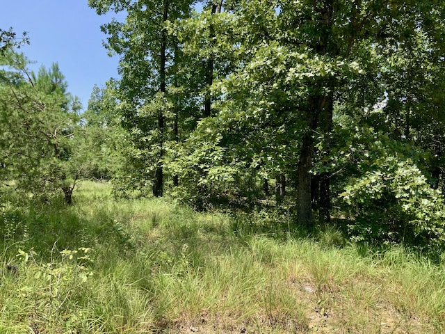 0 Bear Creek Rd, Waverly, TN 37185 - photo 21
