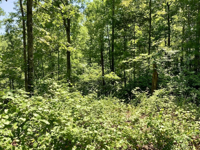 0 Bear Creek Rd, Waverly, TN 37185 - photo 17