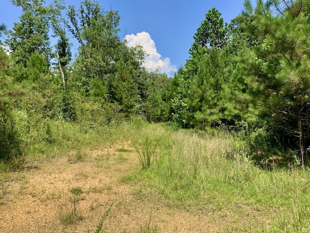 0 Bear Creek Rd, Waverly, TN 37185 - photo 12