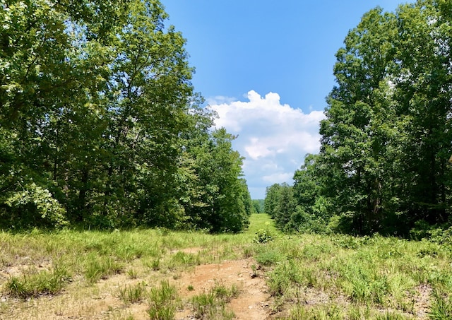 0 Bear Creek Rd, Waverly, TN 37185 - photo 6