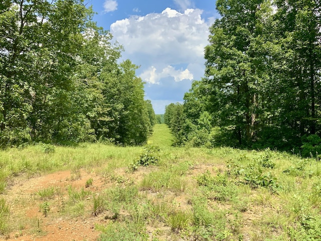 0 Bear Creek Rd, Waverly, TN 37185 - photo 3