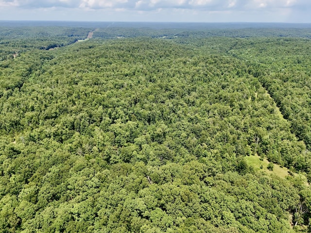 0 Bear Creek Rd, Waverly, TN 37185 - photo 9