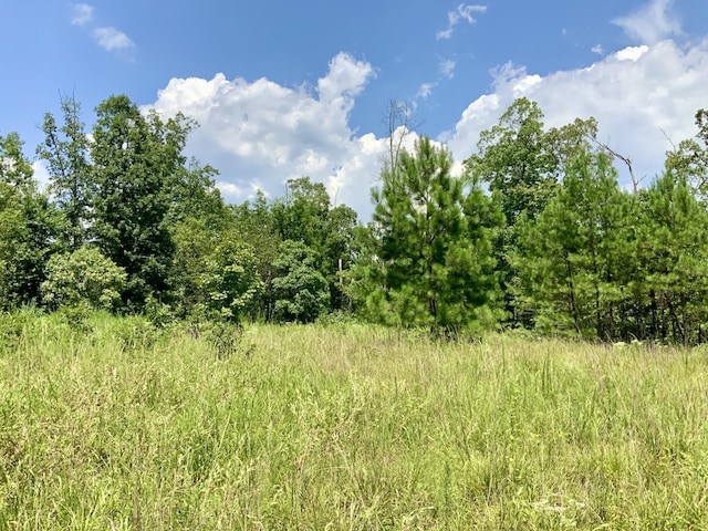 0 Bear Creek Rd, Waverly, TN 37185 - photo 8