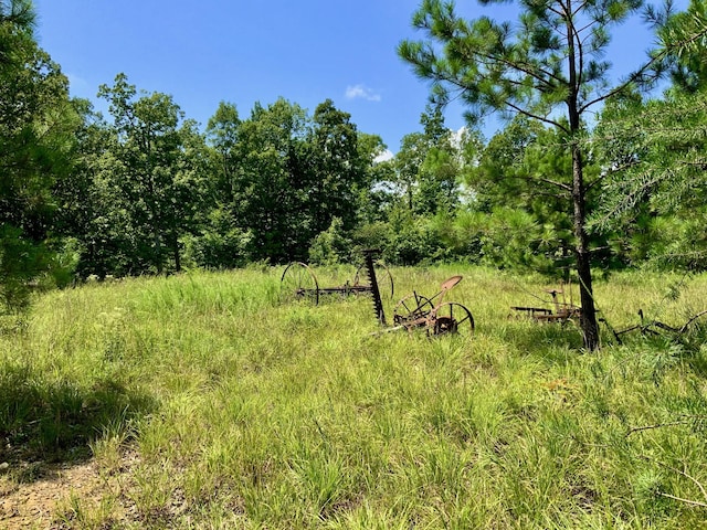 0 Bear Creek Rd, Waverly, TN 37185 - photo 11