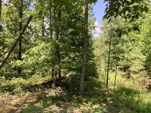 0 Bear Creek Rd, Waverly, TN 37185 - photo 20