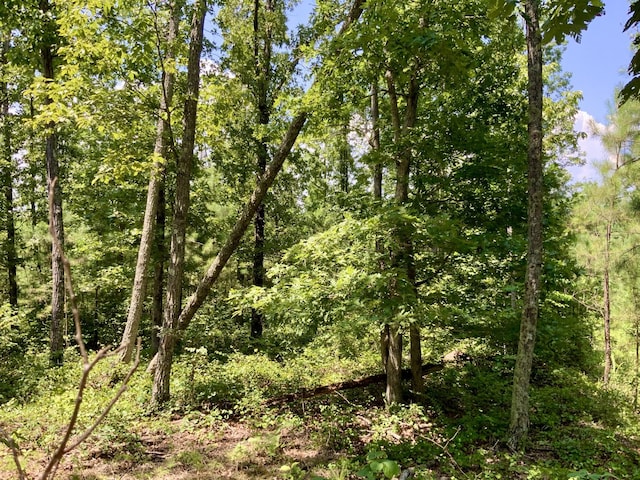 0 Bear Creek Rd, Waverly, TN 37185 - photo 19