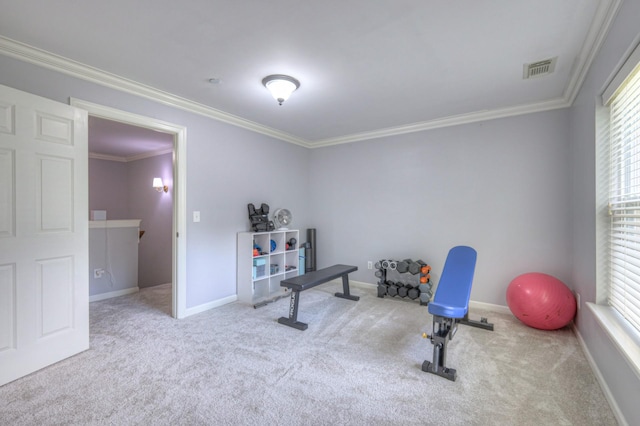 4800 Powder Spring Rd, Nolensville, TN 37135 - photo 32