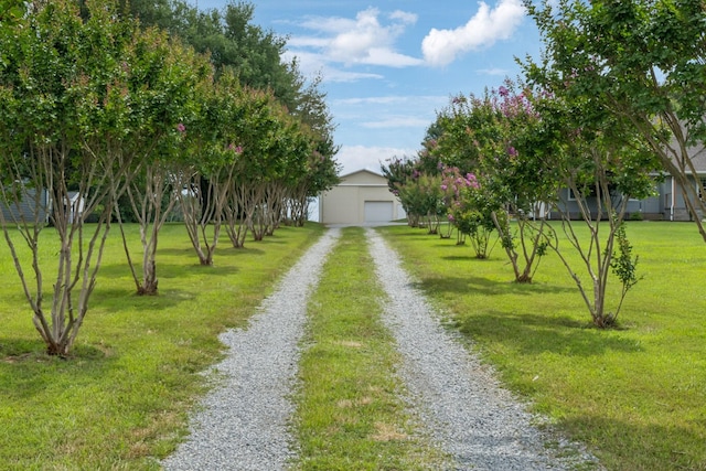 6683 E Benton Rd, Springfield, TN 37172 - photo 49