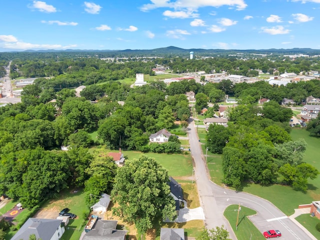 118 Walnut St, Shelbyville, TN 37160 - photo 9