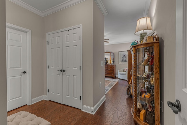 113 Clapham St, Franklin, TN 37064 - photo 22