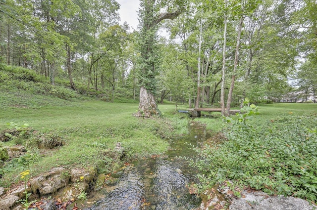 1880 E Compton Rd, Murfreesboro, TN 37130 - photo 56