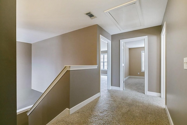 210 Steelson Way, Murfreesboro, TN 37128 - photo 16