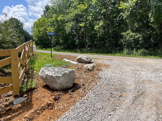 10898 Back Piney Rd, Bon Aqua, TN 37025 - photo 5