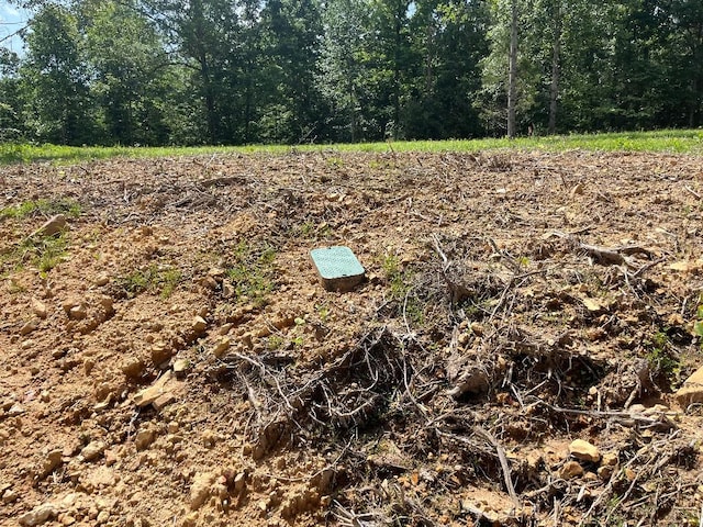 10898 Back Piney Rd, Bon Aqua, TN 37025 - photo 4