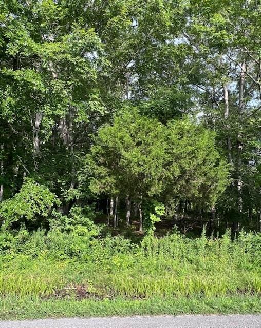 0 Lakewood Park Rd, Beechgrove, TN 37018 - photo 2