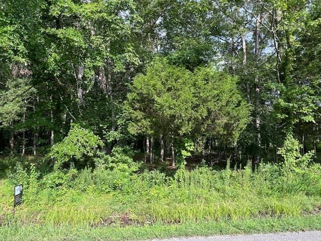 0 Lakewood Park Rd, Beechgrove, TN 37018 - photo 3