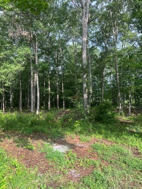 0 Lakewood Park Rd, Beechgrove, TN 37018 - photo 1