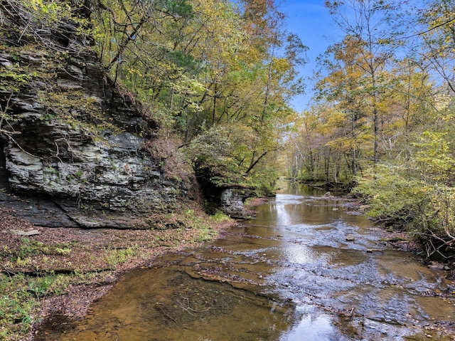 0 Bear Creek Rd, Bon Aqua, TN 37025 - photo 10