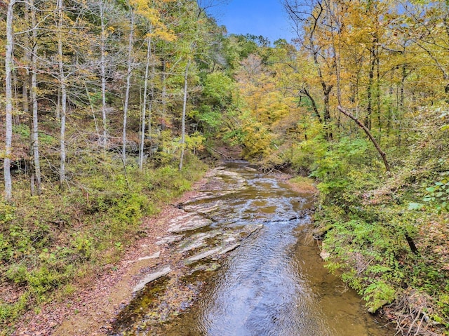 0 Bear Creek Rd, Bon Aqua, TN 37025 - photo 1
