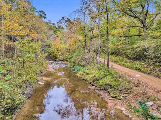 0 Bear Creek Rd, Bon Aqua, TN 37025 - photo 6
