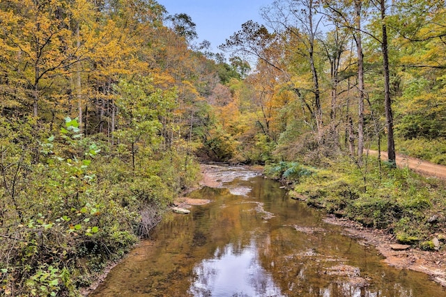 0 Bear Creek Rd, Bon Aqua, TN 37025 - photo 59