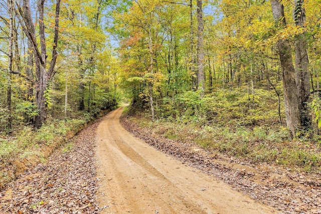 0 Bear Creek Rd, Bon Aqua, TN 37025 - photo 63