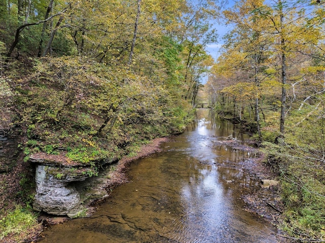 0 Bear Creek Rd, Bon Aqua, TN 37025 - photo 11
