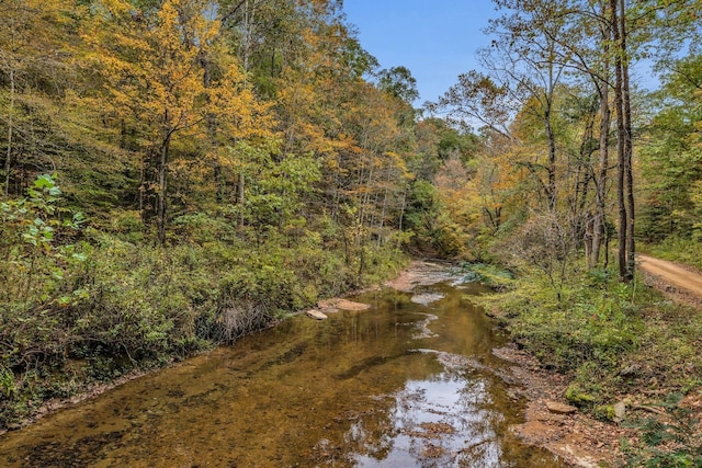 0 Bear Creek Rd, Bon Aqua, TN 37025 - photo 60