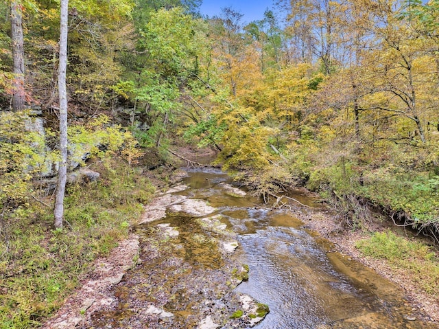 0 Bear Creek Rd, Bon Aqua, TN 37025 - photo 8