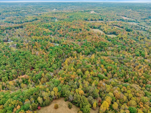 0 Bear Creek Rd, Bon Aqua, TN 37025 - photo 56