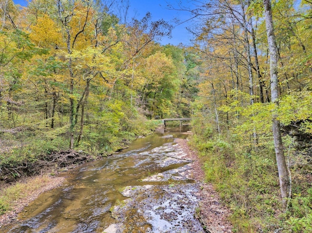 0 Bear Creek Rd, Bon Aqua, TN 37025 - photo 9