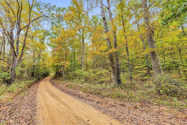 0 Bear Creek Rd, Bon Aqua, TN 37025 - photo 64