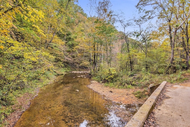 0 Bear Creek Rd, Bon Aqua, TN 37025 - photo 61