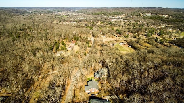 3718 Homeland Dr, Nashville, TN 37218 - photo 6