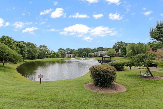 238 Hearthstone Manor Ln, Brentwood, TN 37027 - photo 40