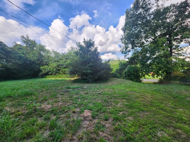 1325 Linden Hwy, Clifton, TN 38425 - photo 2