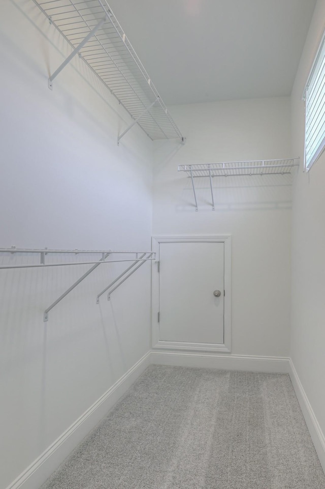 5100 Turquoise Ln, Murfreesboro, TN 37129 - photo 19